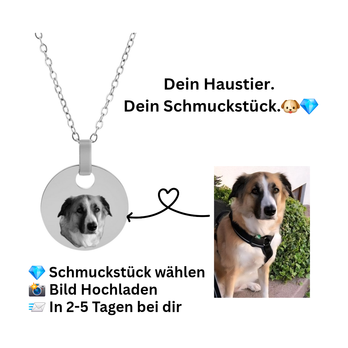 Runde Halskette mit Haustier Foreverengraved